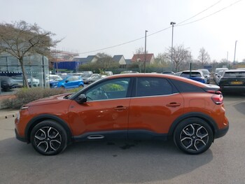 Used Citroen C4 2023 for sale - 77948445: Photo