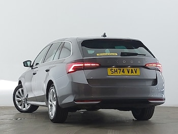 Used Skoda Octavia 2024 for sale - 79432466: Photo