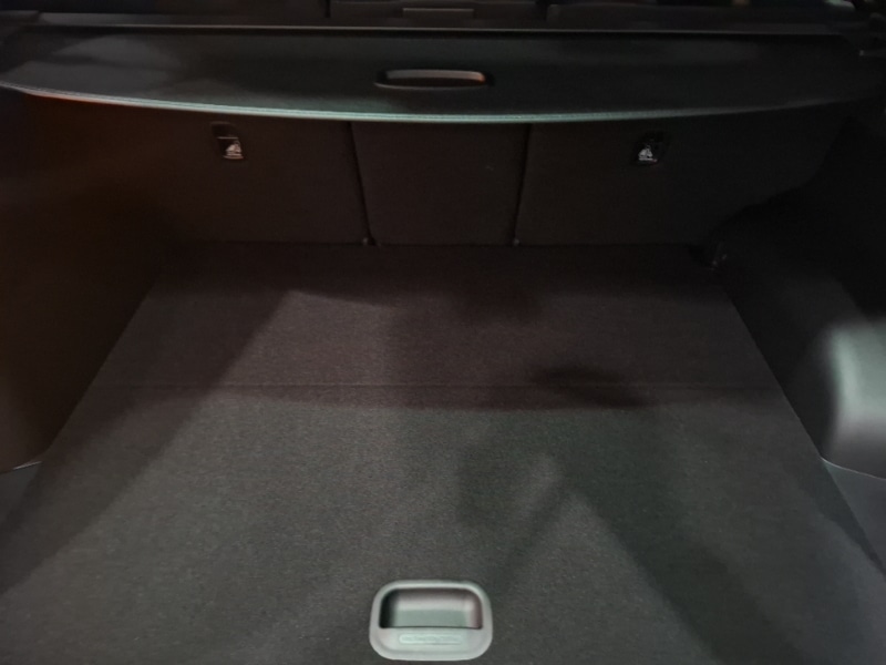 Used Kia Sportage 2025 for sale - 77266272: Photo 8