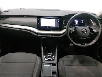 Used Skoda Octavia 2024 for sale - 77314524: Photo