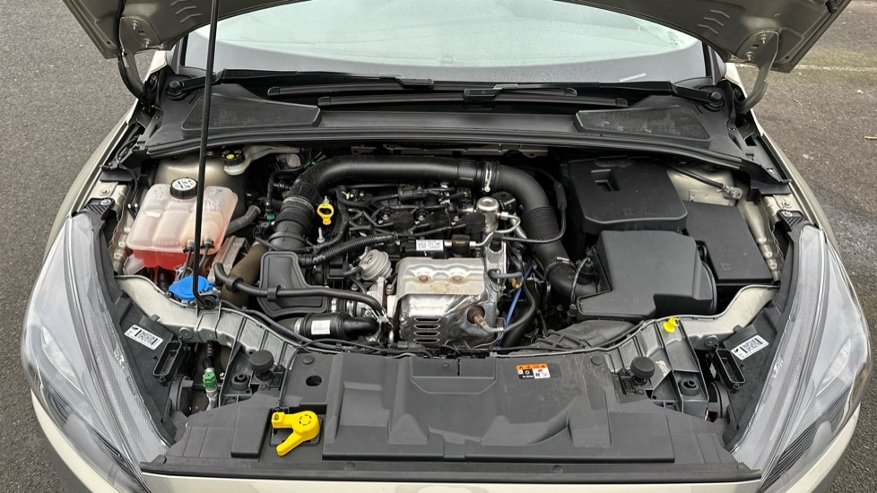 Used Ford Focus 2016 for sale - 76168831: Photo 16