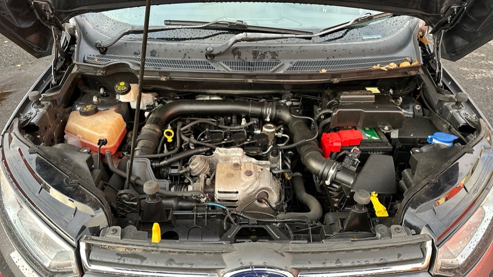 Used Ford Ecosport 2017 for sale - 76717345: Photo 16