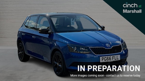 Used Skoda Fabia 2017 for sale - 76033910: Photo 1