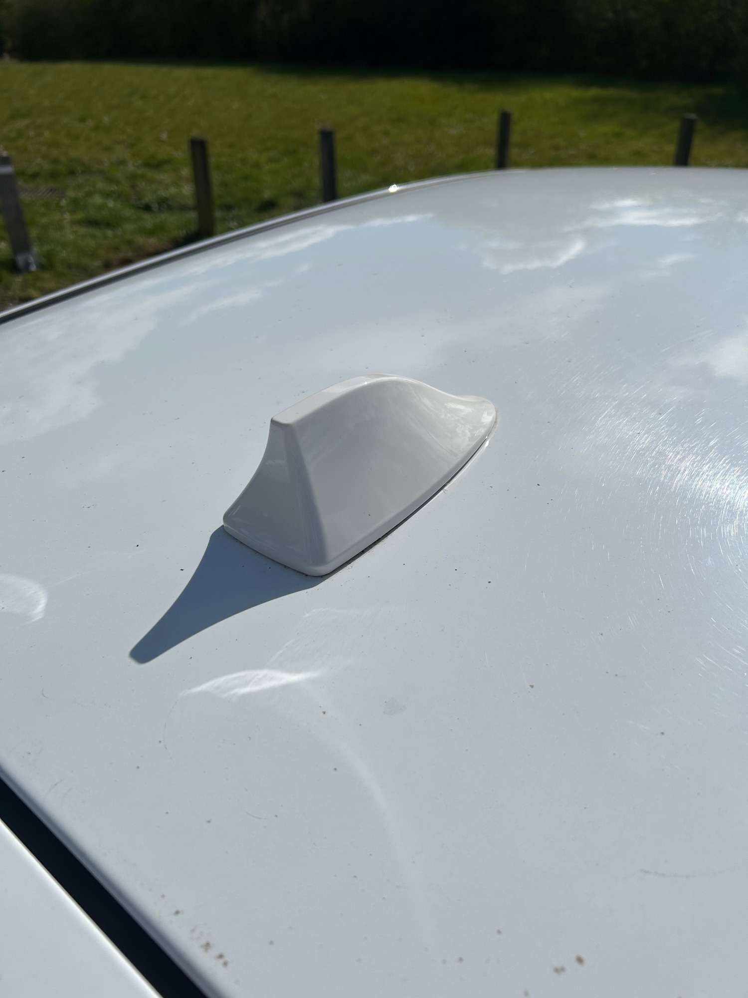 Used Ford Focus 2016 for sale - 78079443: Photo 10