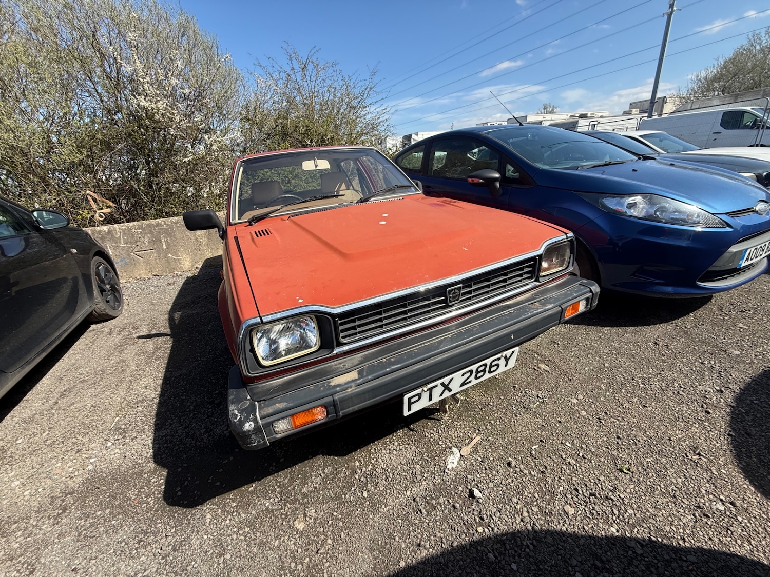 Used Triumph Acclaim 1982 for sale - 78144281: Photo 2
