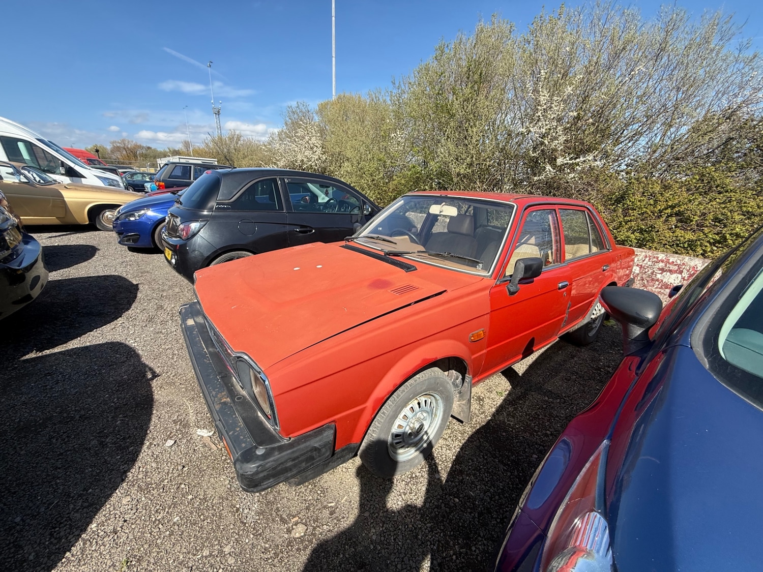 Used Triumph Acclaim 1982 for sale - 78144281: Photo 3