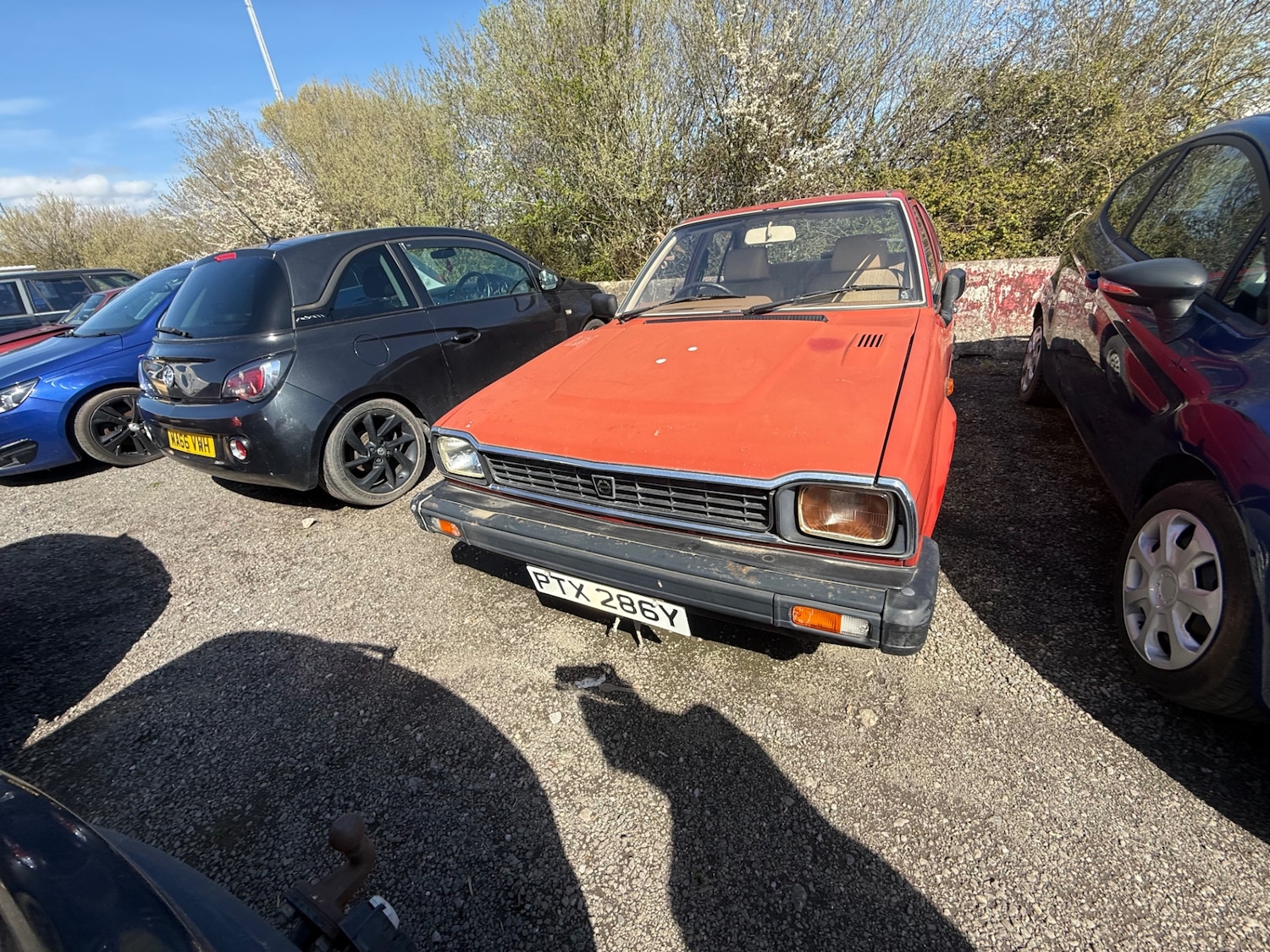 Used Triumph Acclaim 1982 for sale - 78144281: Photo 4