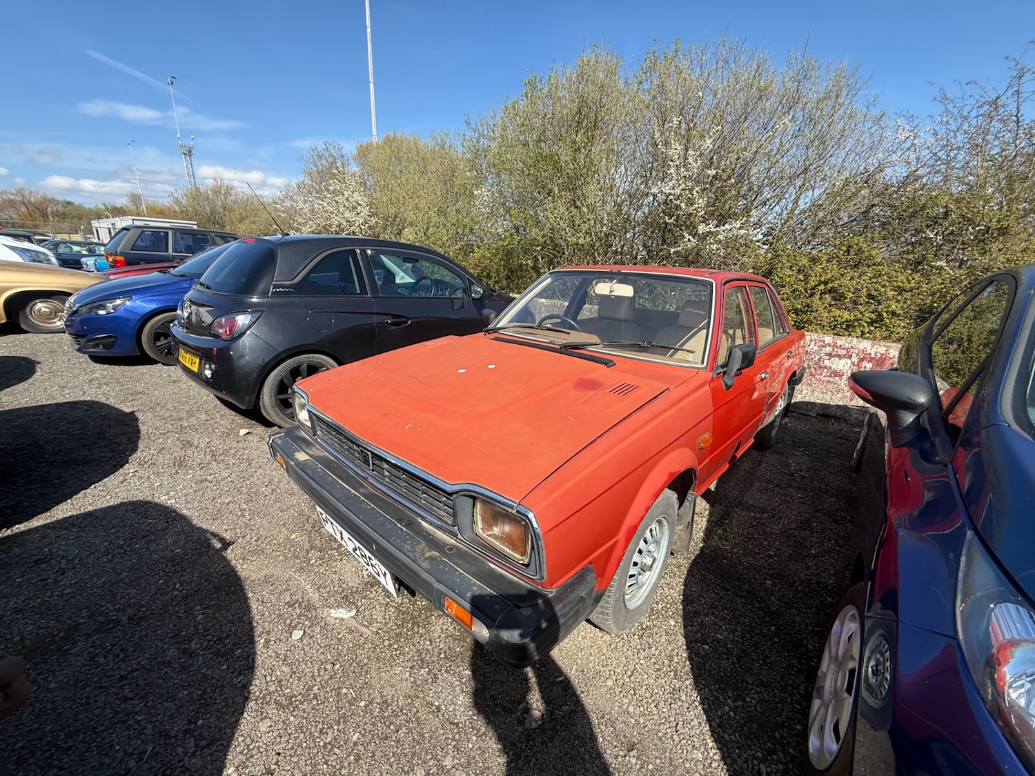 Used Triumph Acclaim 1982 for sale - 78144281: Photo 5