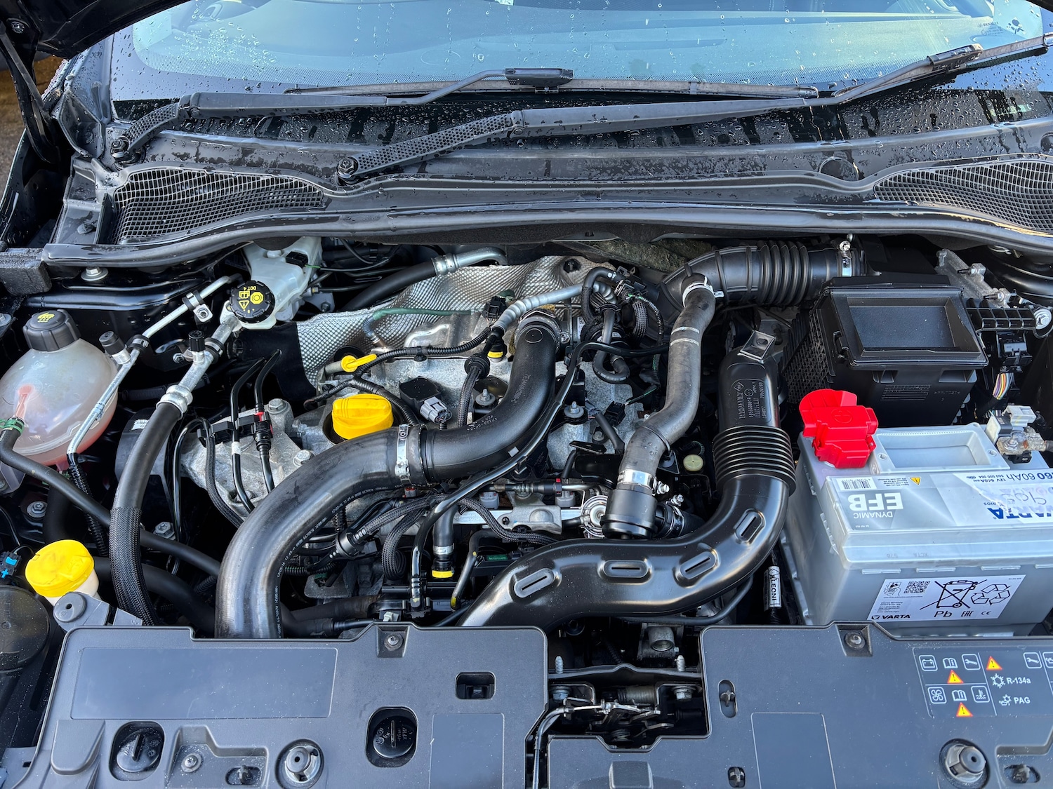 Used Renault Clio 2016 for sale - 77701511: Photo 14