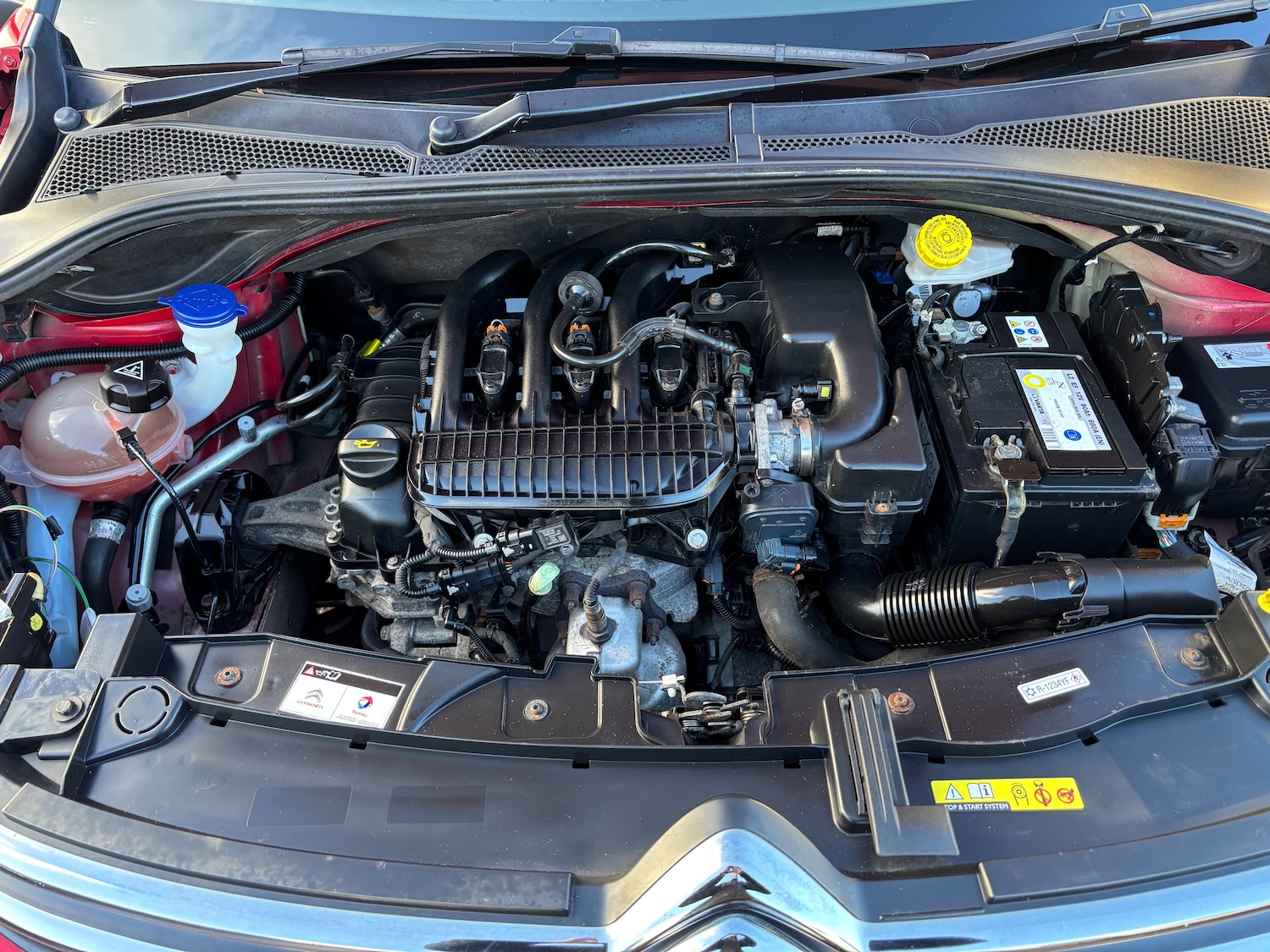 Used Citroen C3 2019 for sale - 77234053: Photo 14