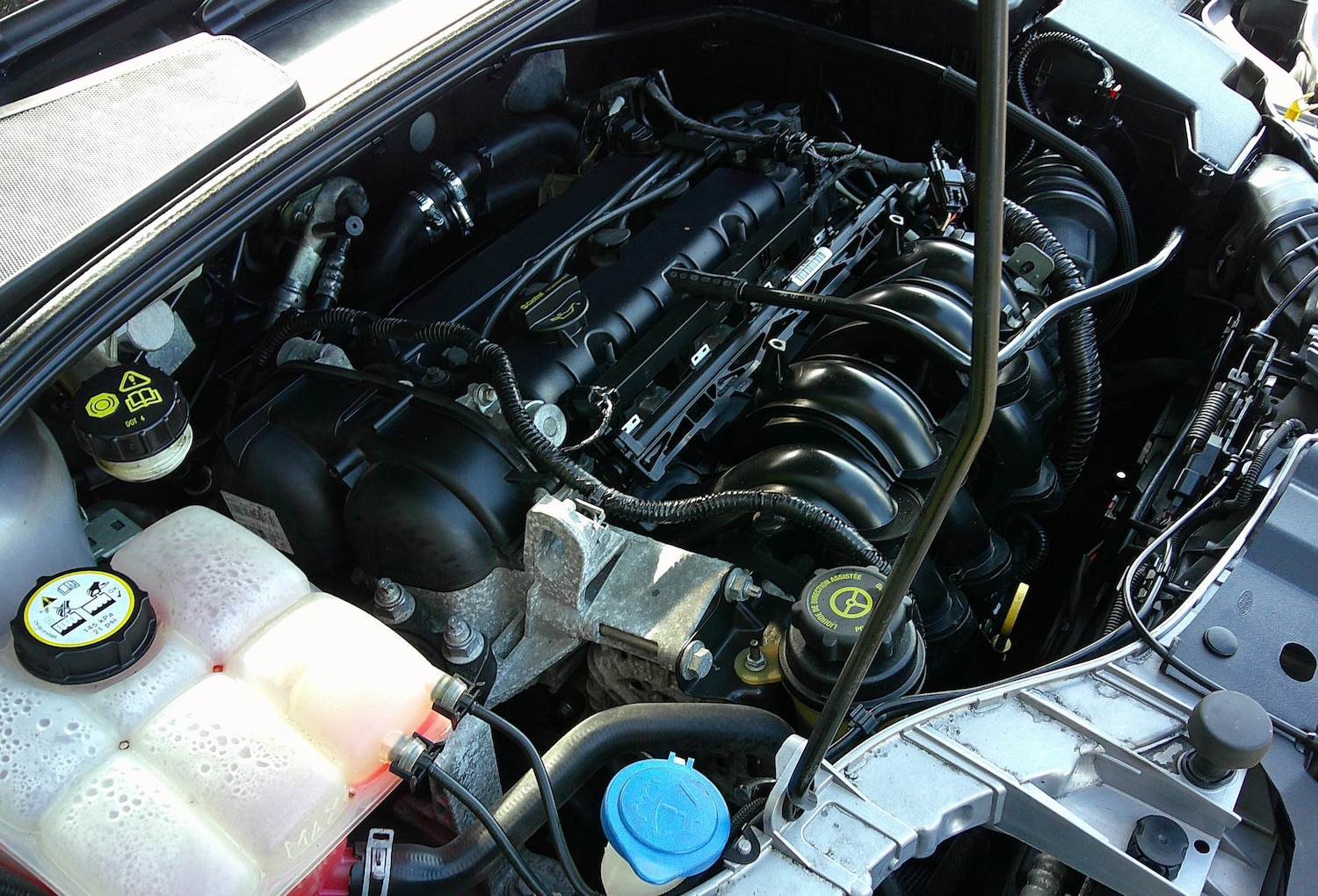 Used Ford Focus 2011 for sale - 77249358: Photo 16