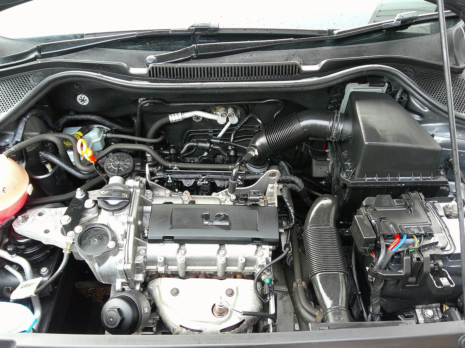 Used Volkswagen Polo 2014 for sale - 77159449: Photo 24