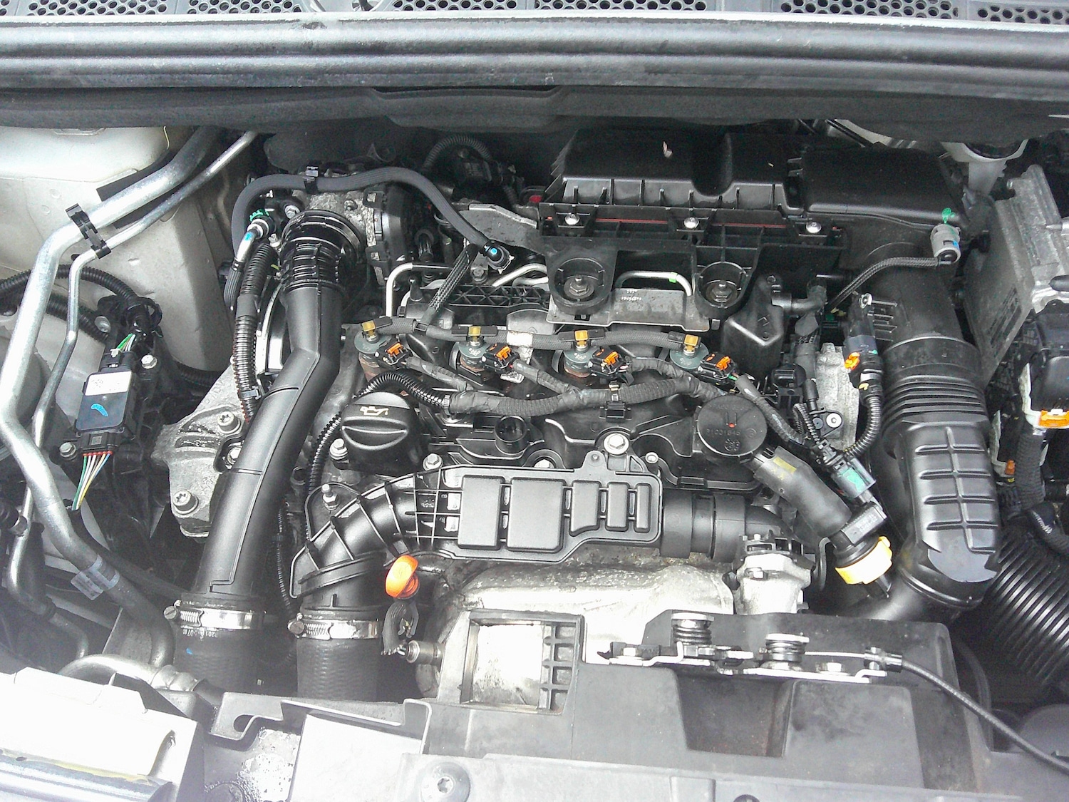 Used Citroen Berlingo 2020 for sale - 77501904: Photo 20