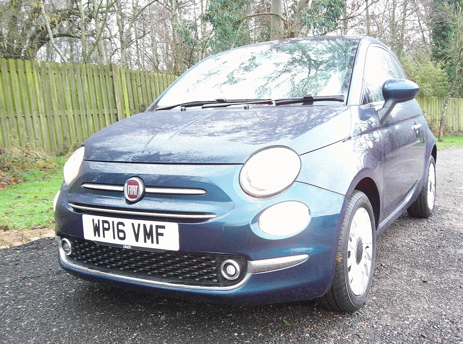 Used Fiat 500 2016 for sale - 77403930: Photo 2