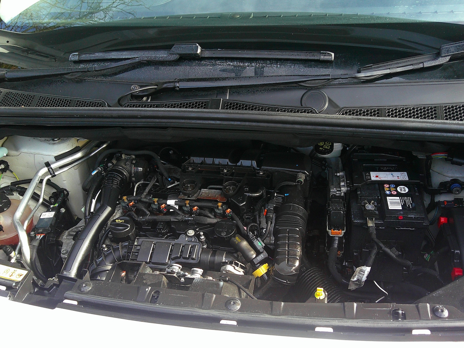 Used Citroen Berlingo 2020 for sale - 76588755: Photo 27