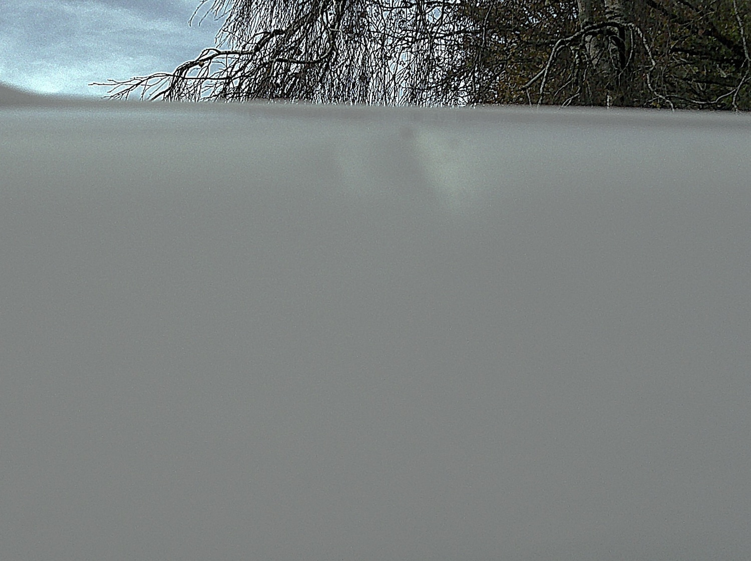 Used Citroen Berlingo 2020 for sale - 76588755: Photo 30