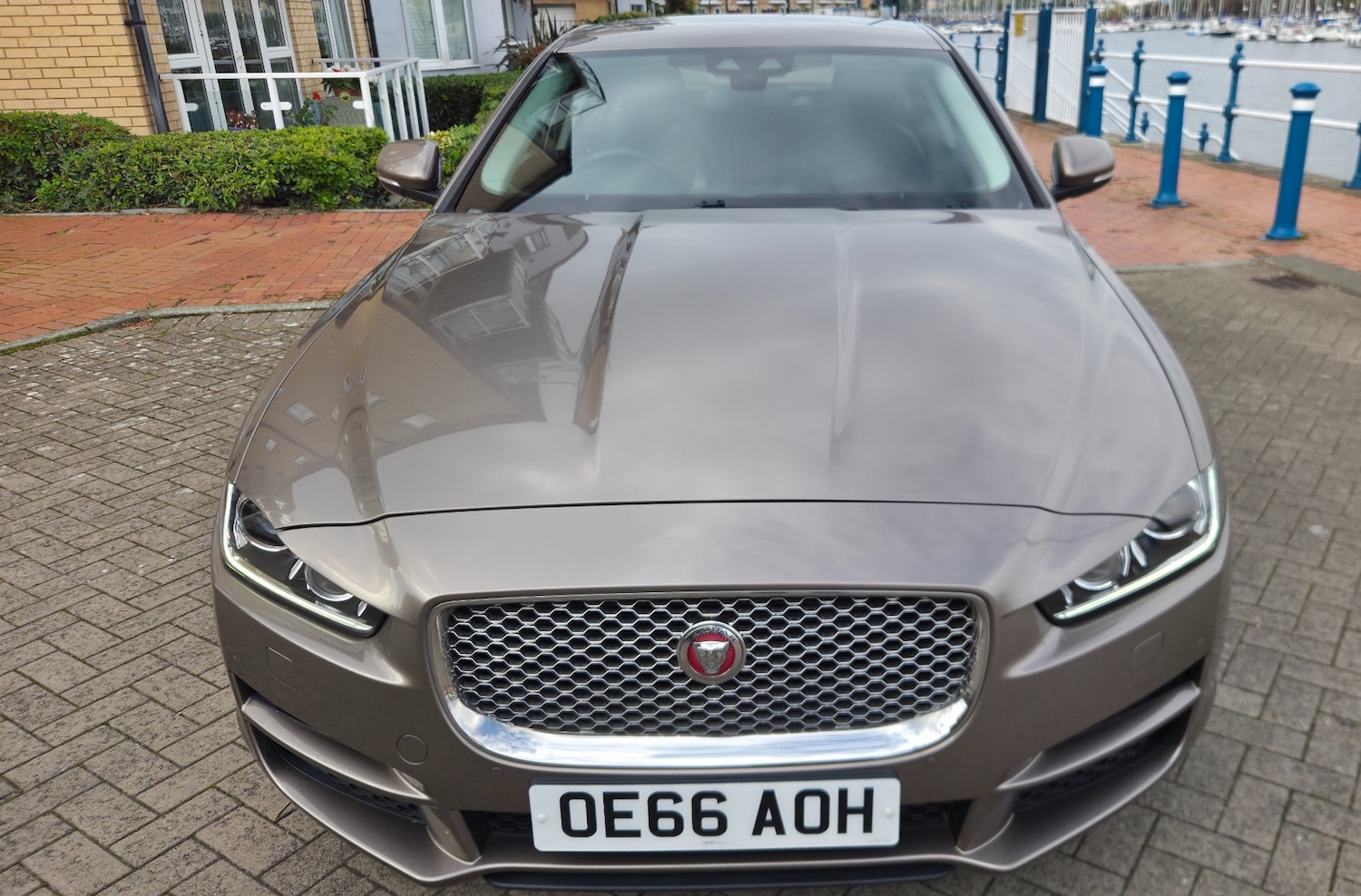 Used Jaguar XE 2016 for sale - 76027106: Photo 13