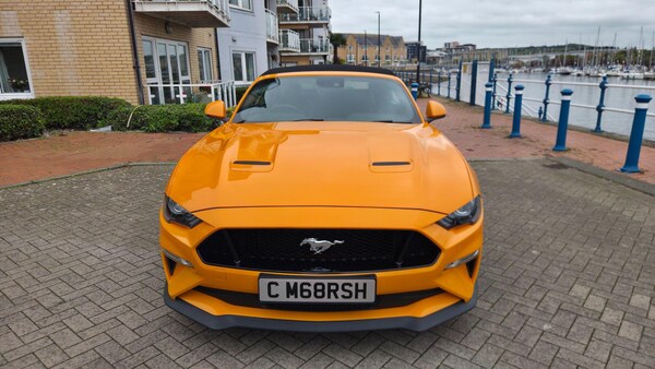 Used Ford Mustang 2018 for sale - 76239011: Photo 14