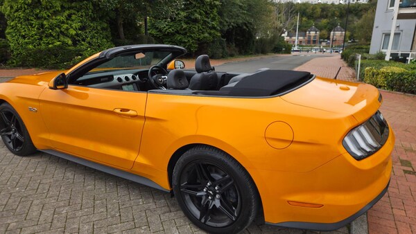 Used Ford Mustang 2018 for sale - 76239011: Photo 7