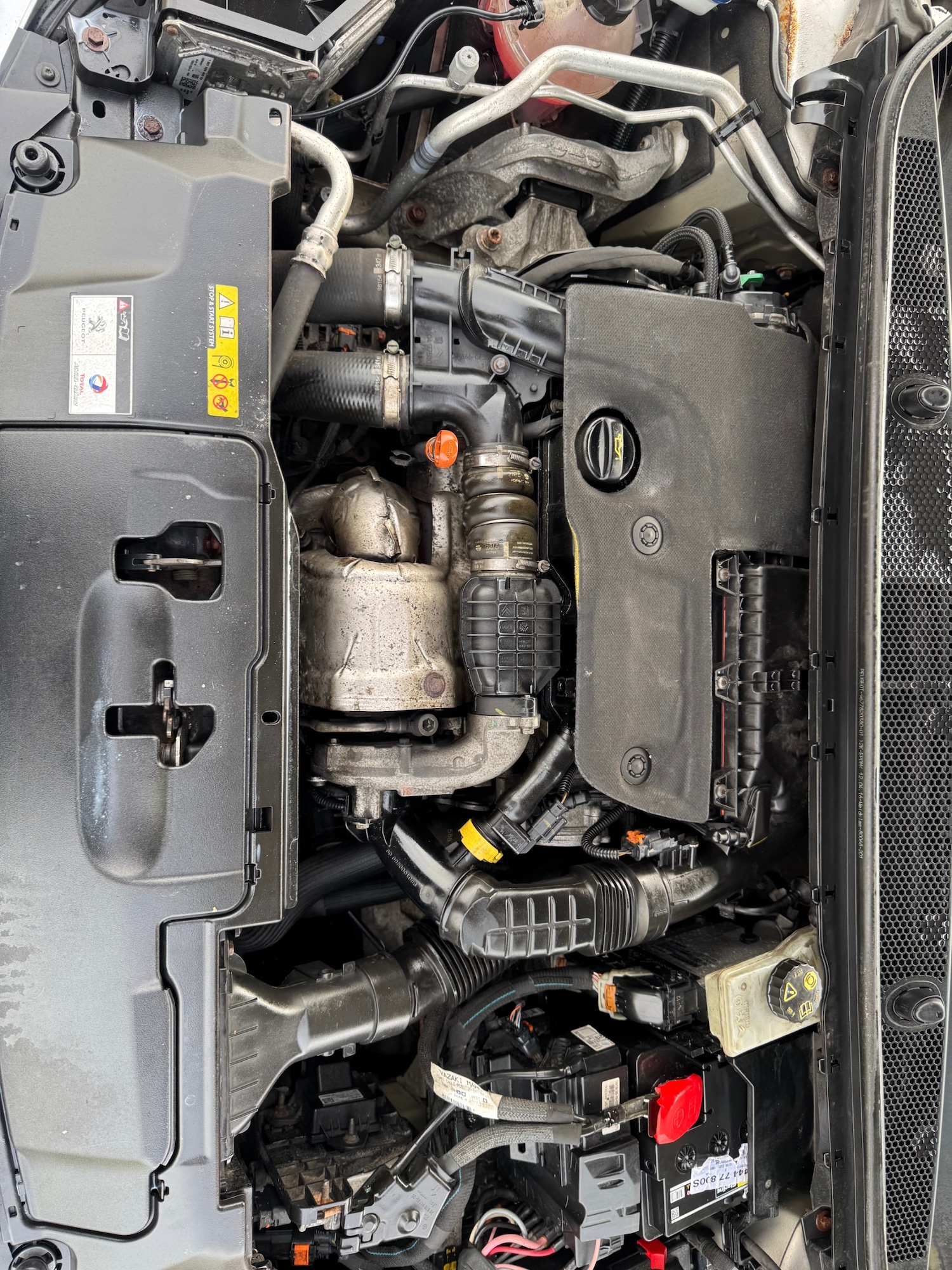 Used Peugeot 308 2016 for sale - 77311395: Photo 24