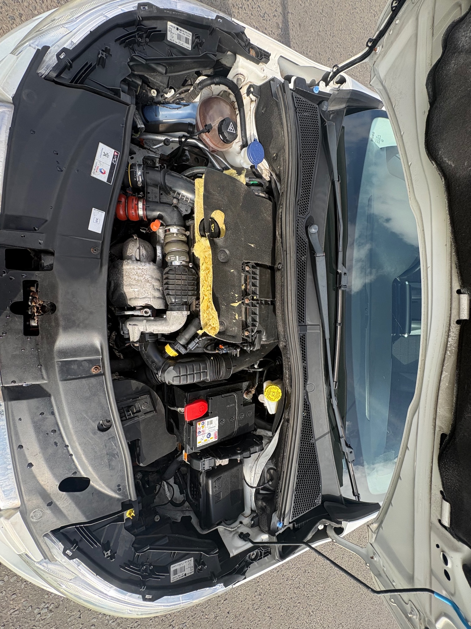 Used Peugeot 2008 2016 for sale - 78168699: Photo 30