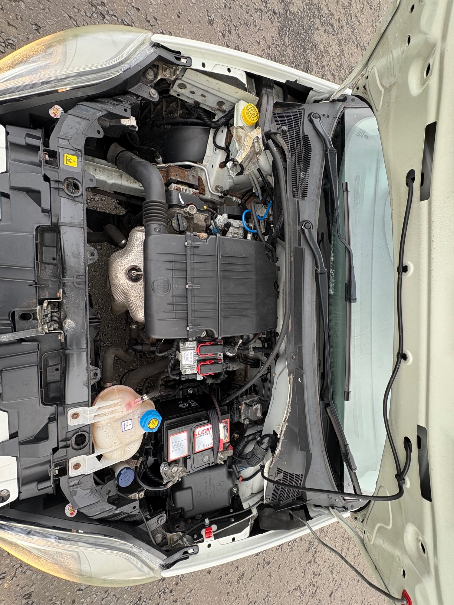 Used Fiat Punto 2013 for sale - 77694032: Photo 22