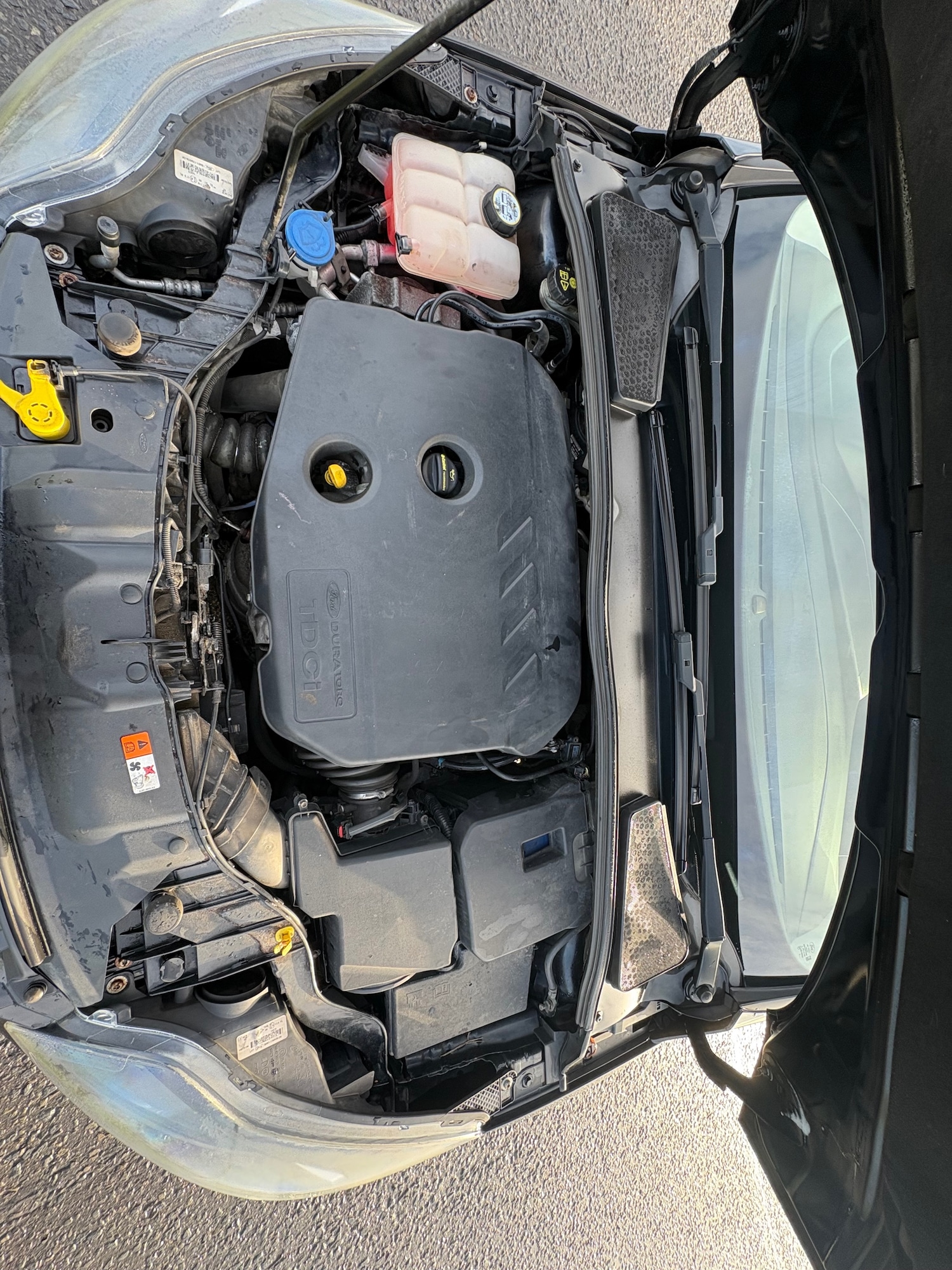 Used Ford Focus 2012 for sale - 77570871: Photo 25