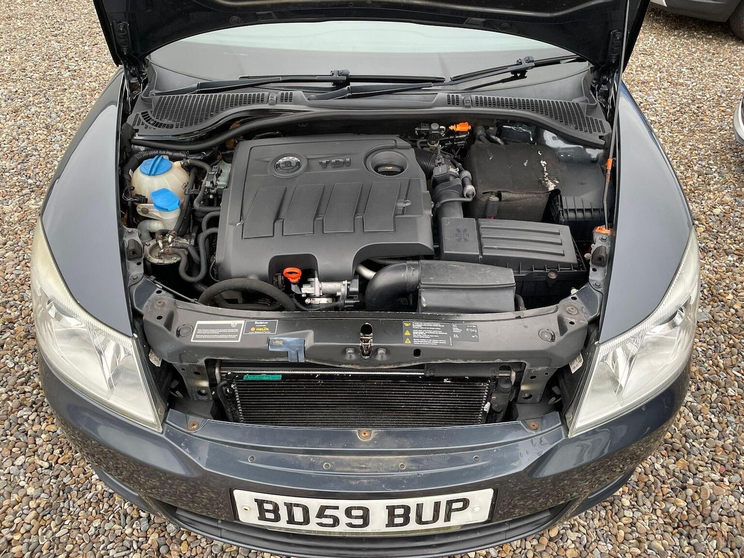 Used Skoda Octavia 2009 for sale - 77370593: Photo 13