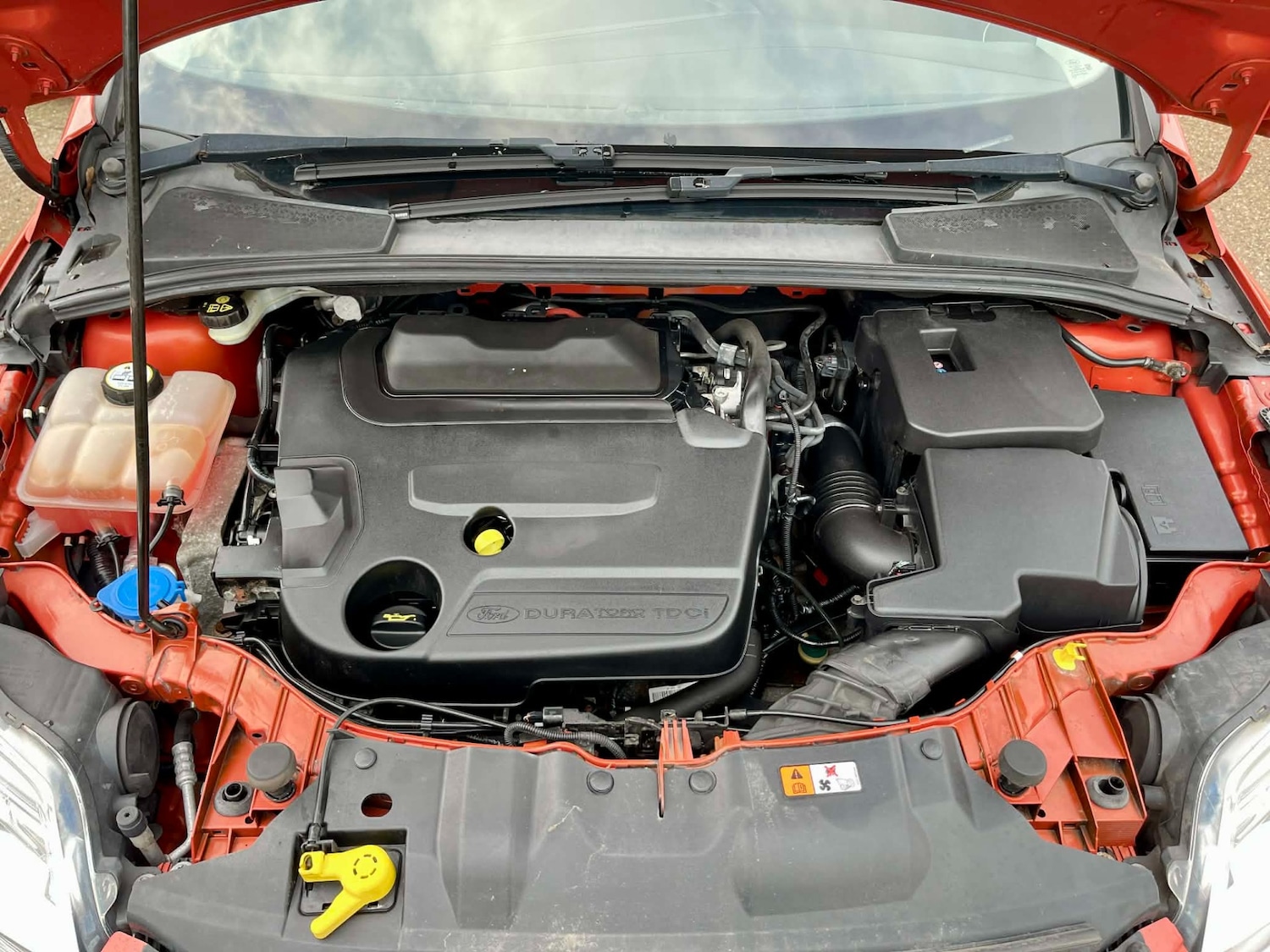 Used Ford Focus 2012 for sale - 77272243: Photo 13