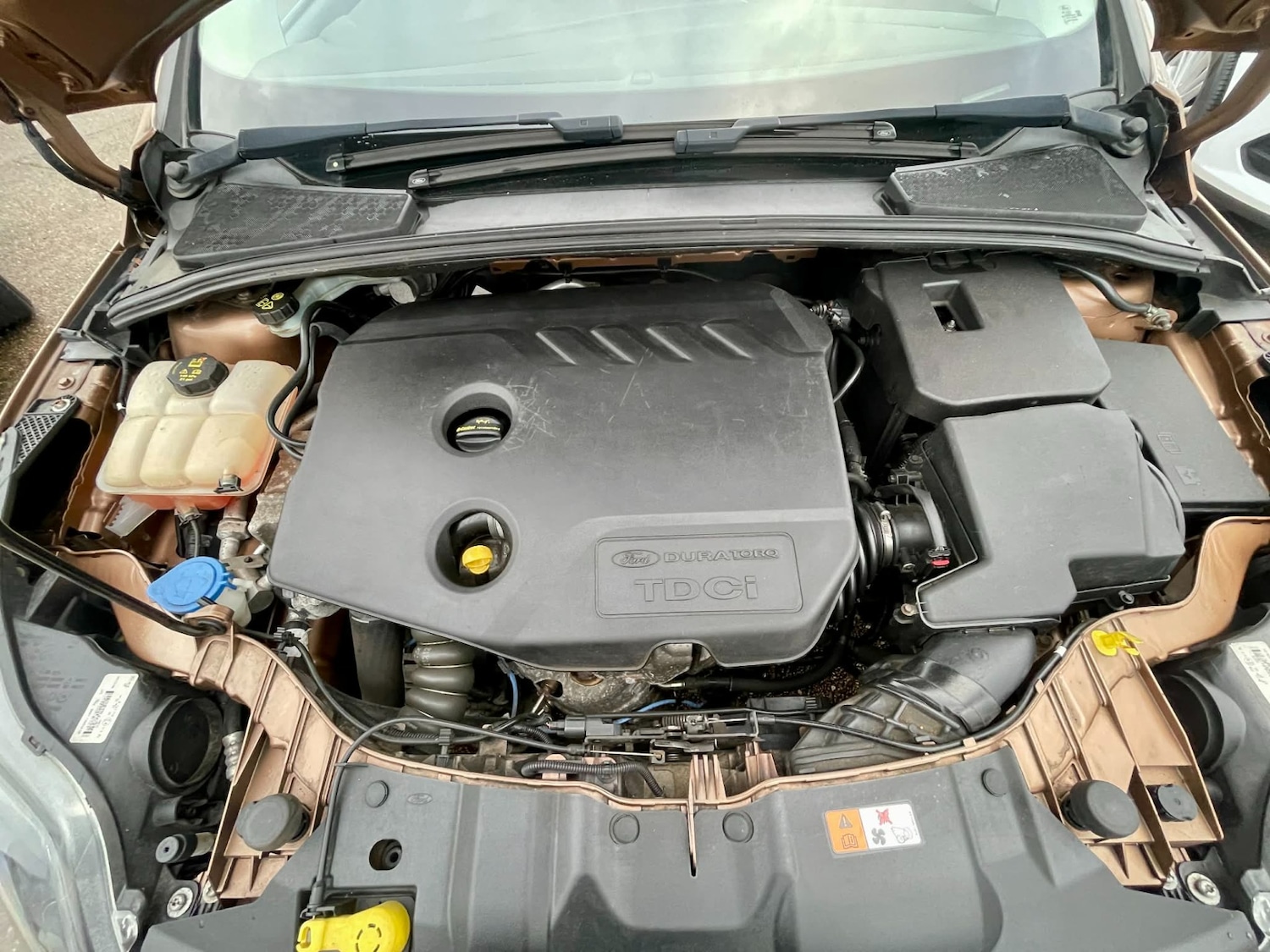 Used Ford Focus 2013 for sale - 76736478: Photo 20