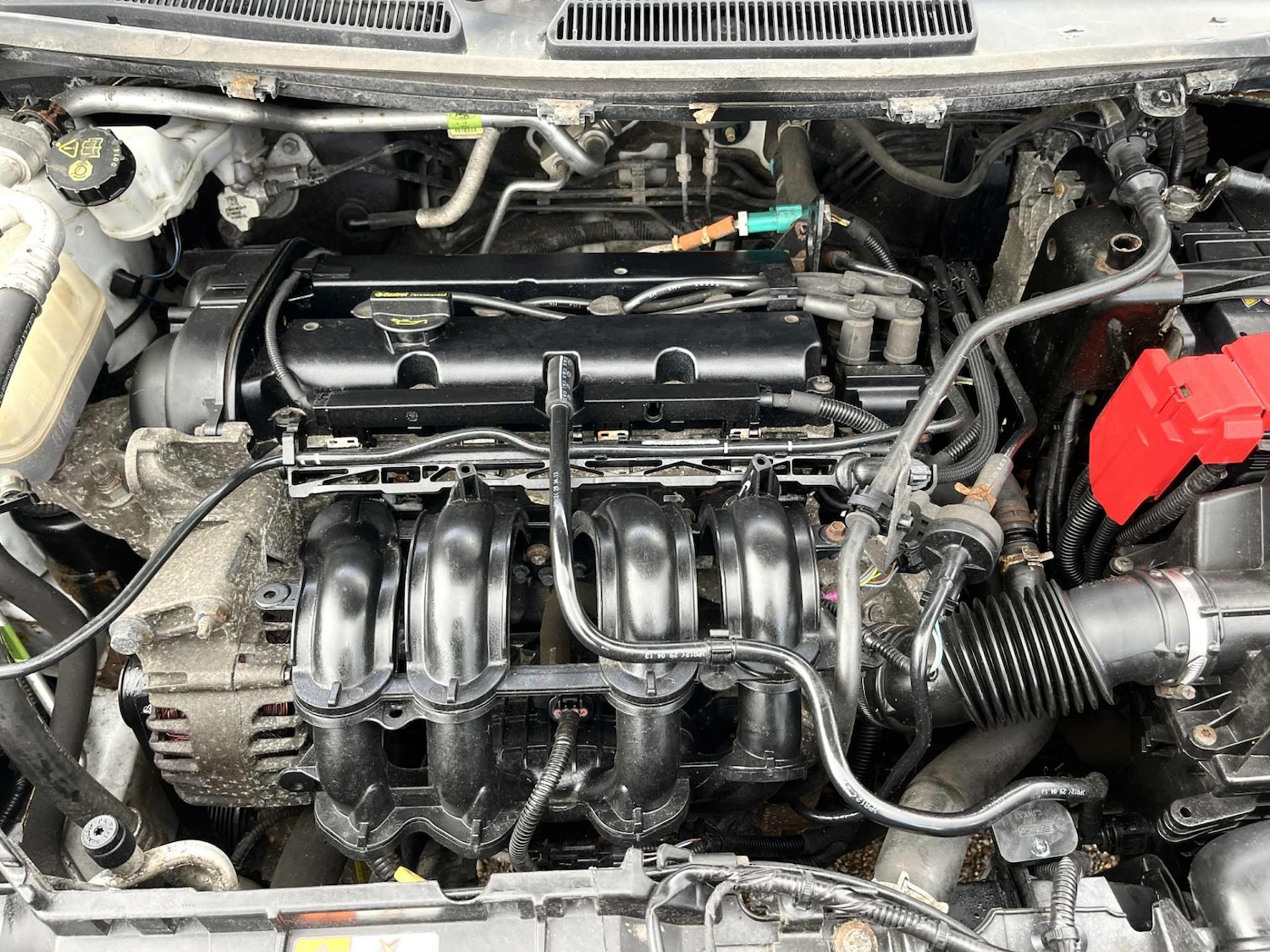 Used Ford Fiesta 2013 for sale - 77195715: Photo 17