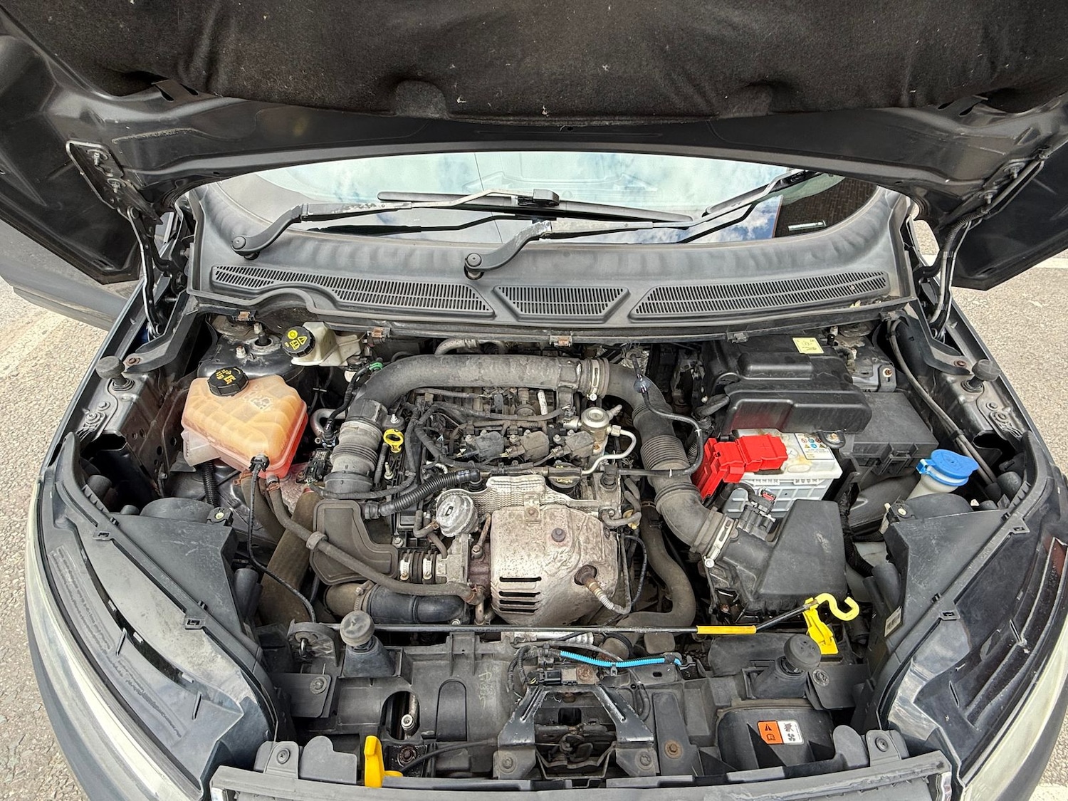 Used Ford Ecosport 2016 for sale - 76100016: Photo 22