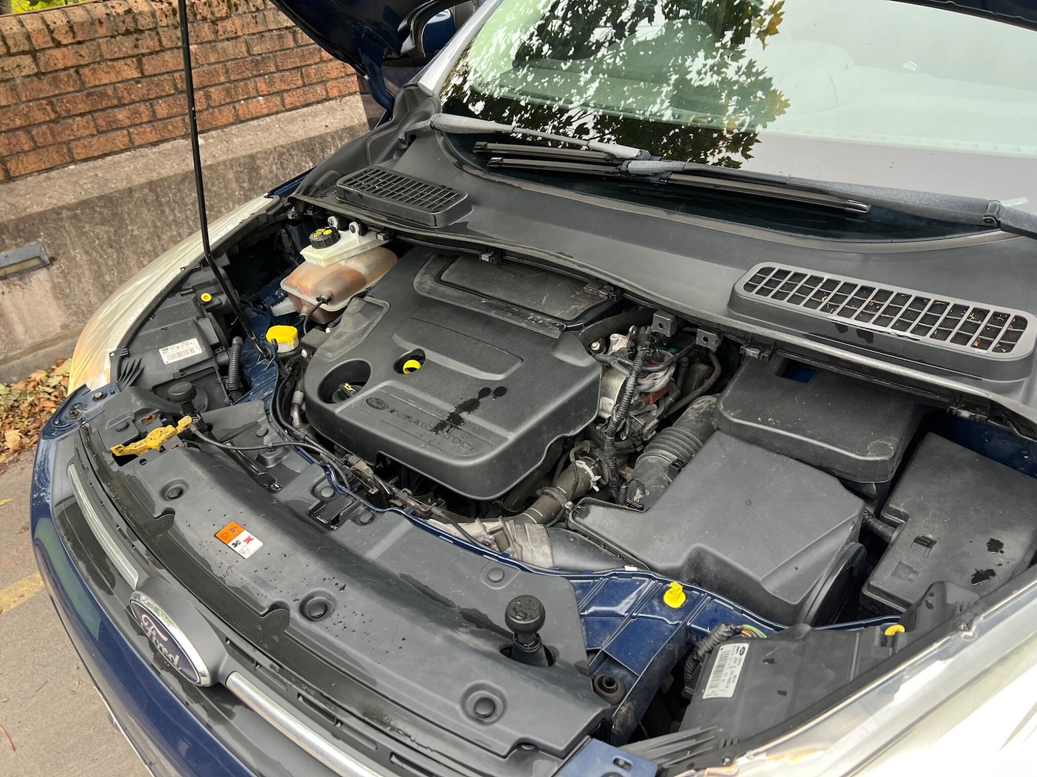 Used Ford Kuga 2013 for sale - 77087819: Photo 20