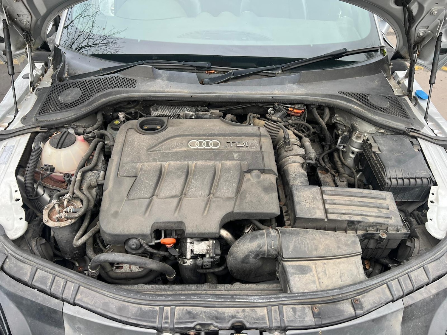 Used Audi TT 2009 for sale - 77087805: Photo 33