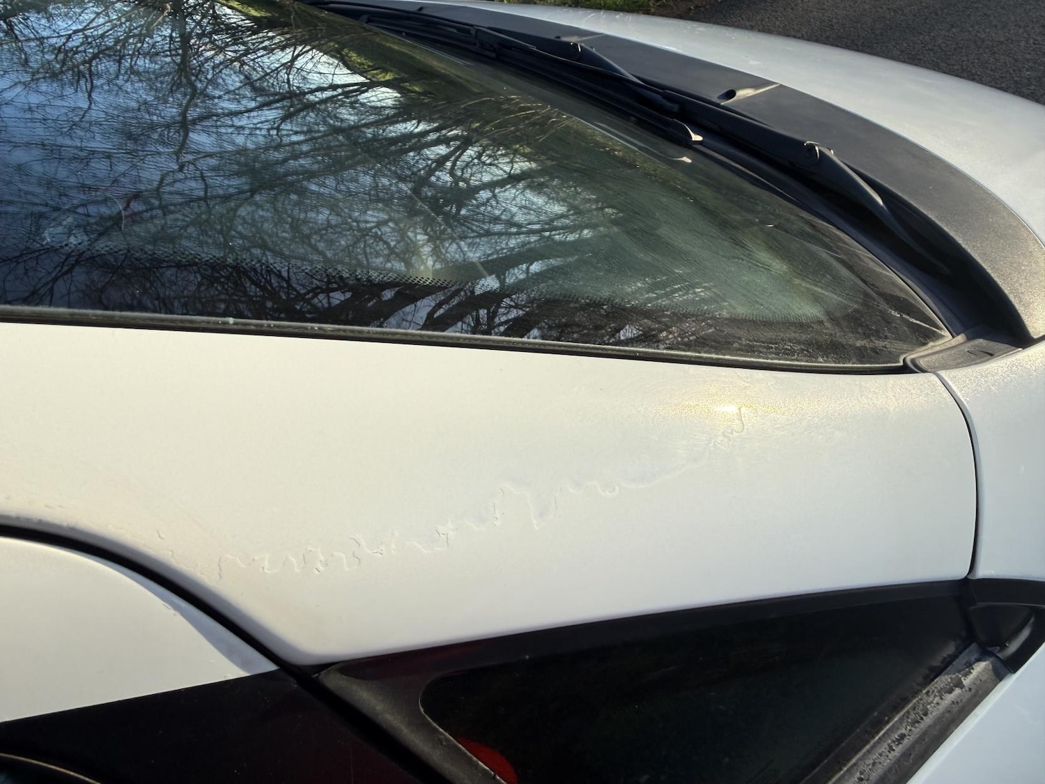 Used Fiat Punto Evo 2010 for sale - 77896095: Photo 14