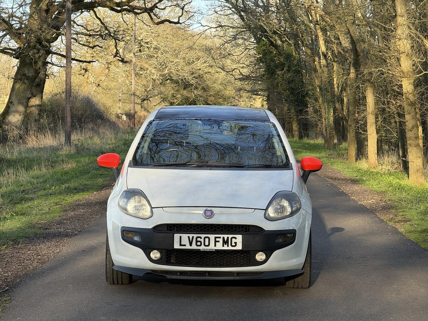 Used Fiat Punto Evo 2010 for sale - 77896095: Photo 2