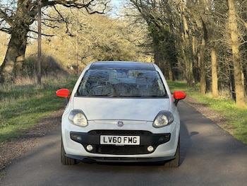 Used Fiat Punto Evo 2010 for sale - 77896095: Photo