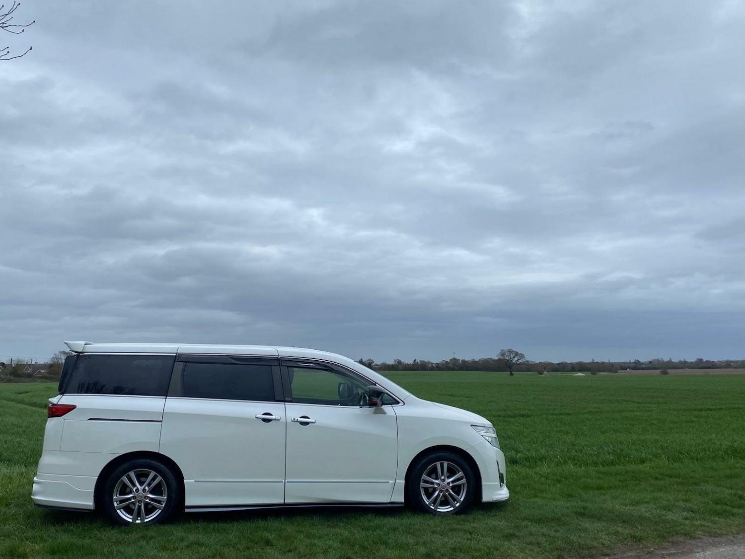 Used Nissan Elgrand 2025 for sale - 77921406: Photo 5