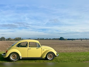 Used Volkswagen Beetle 1975 for sale - 78807555: Photo