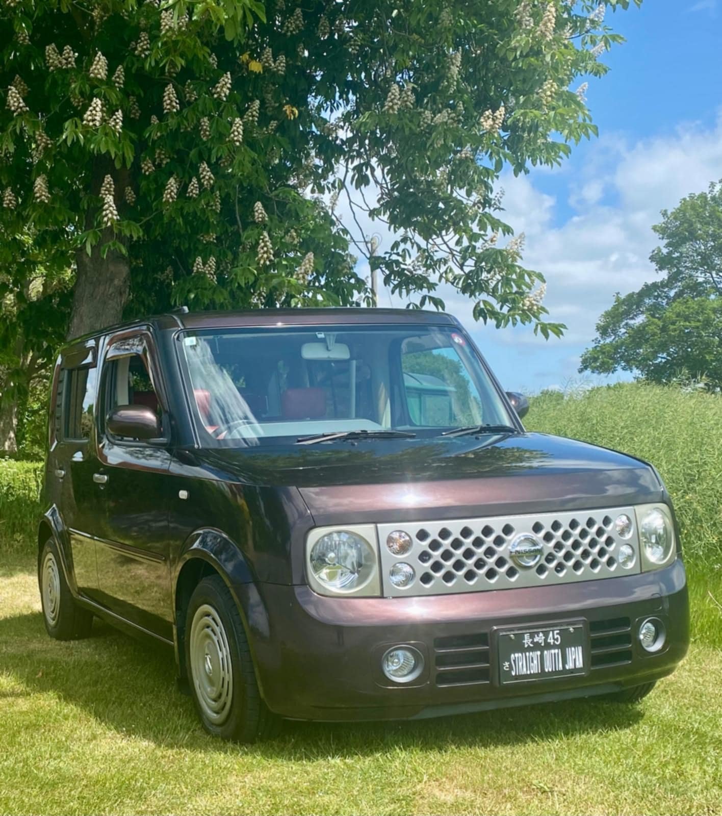 Vehicle 29