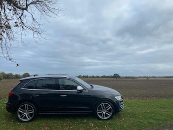 Used Audi SQ5 2014 for sale - 76793974: Photo