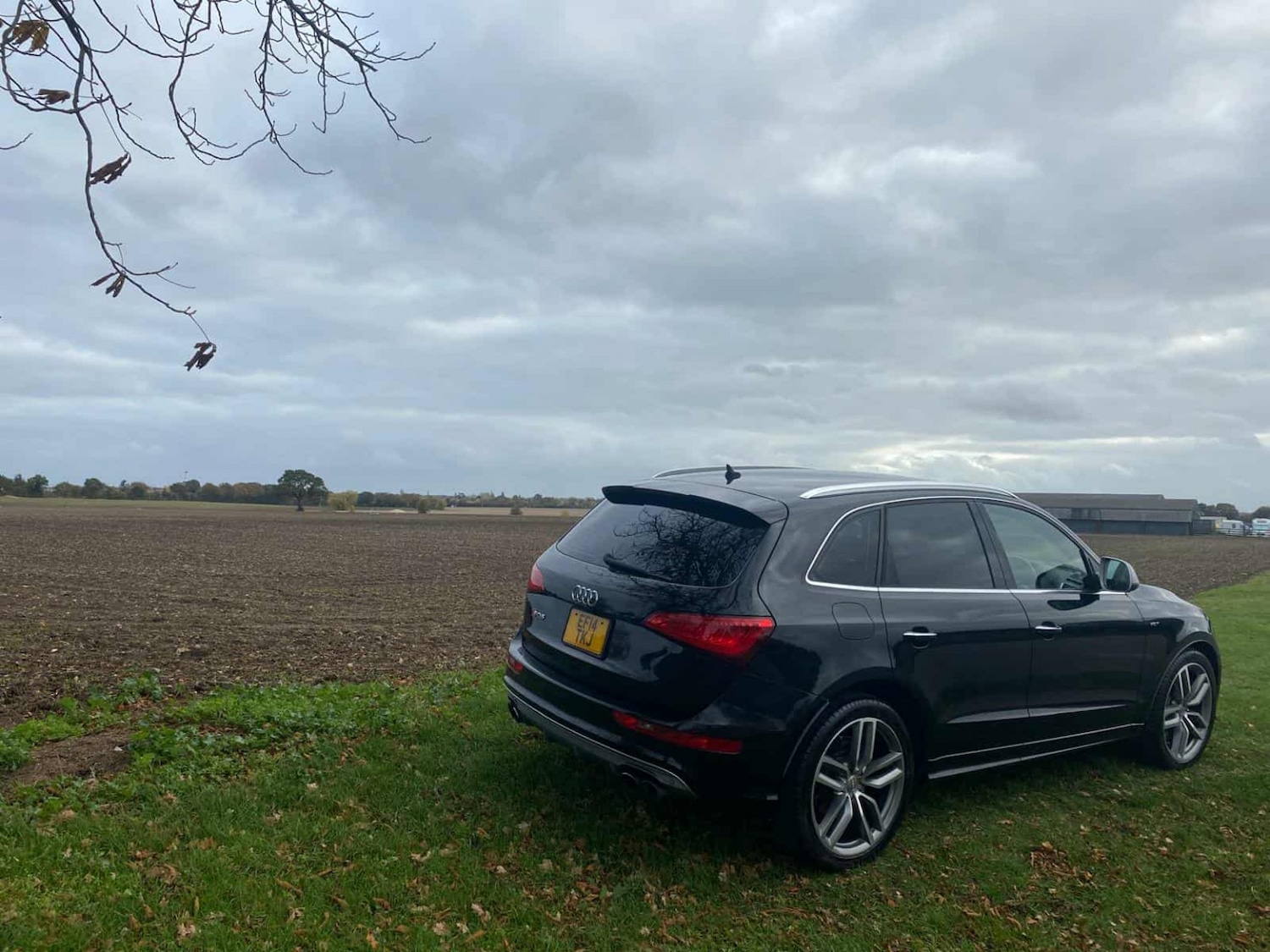 Used Audi SQ5 2023 for sale - 76793974: Photo 6