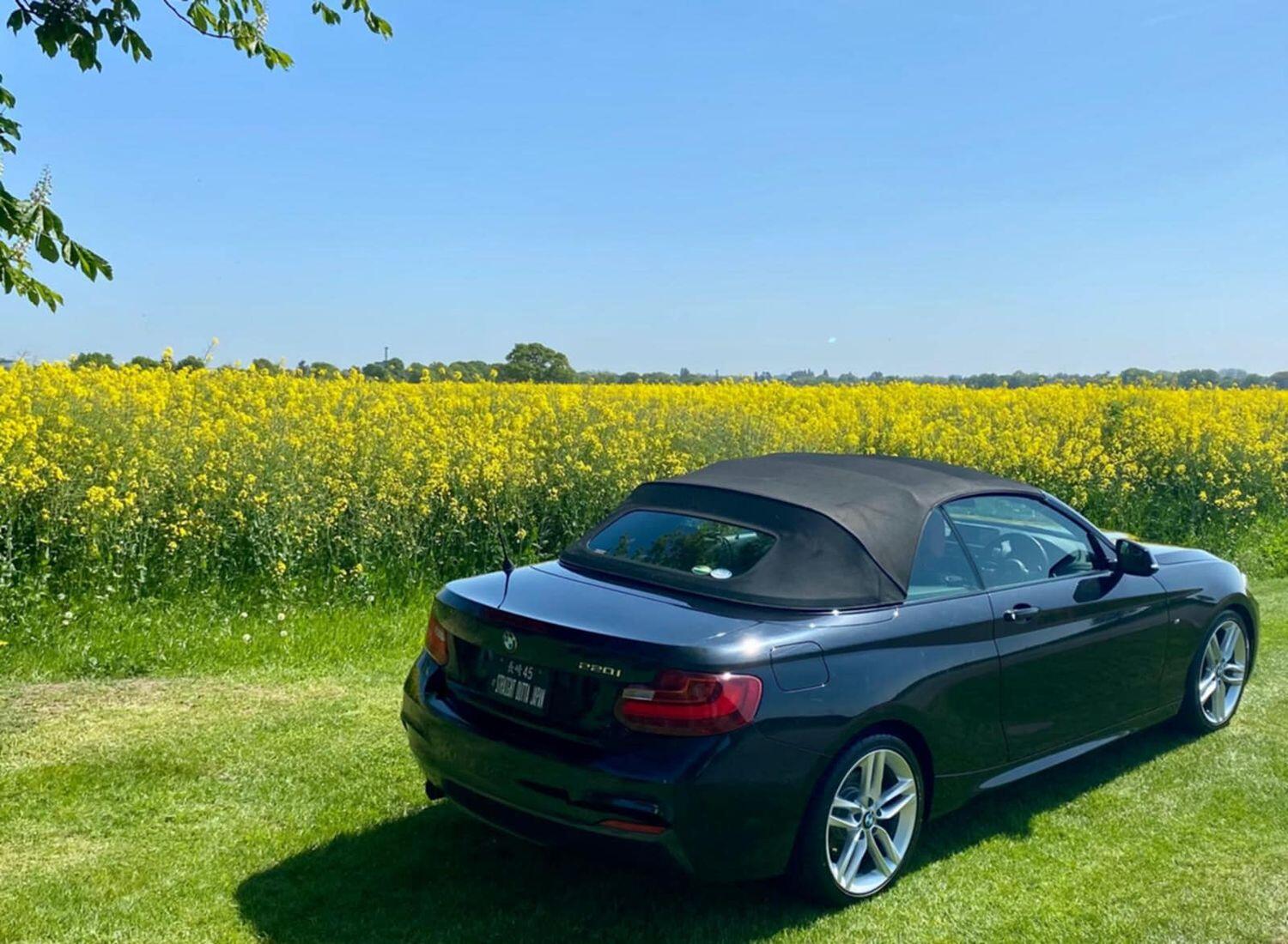 Used BMW 2 Series 2015 for sale - 76793983: Photo 31