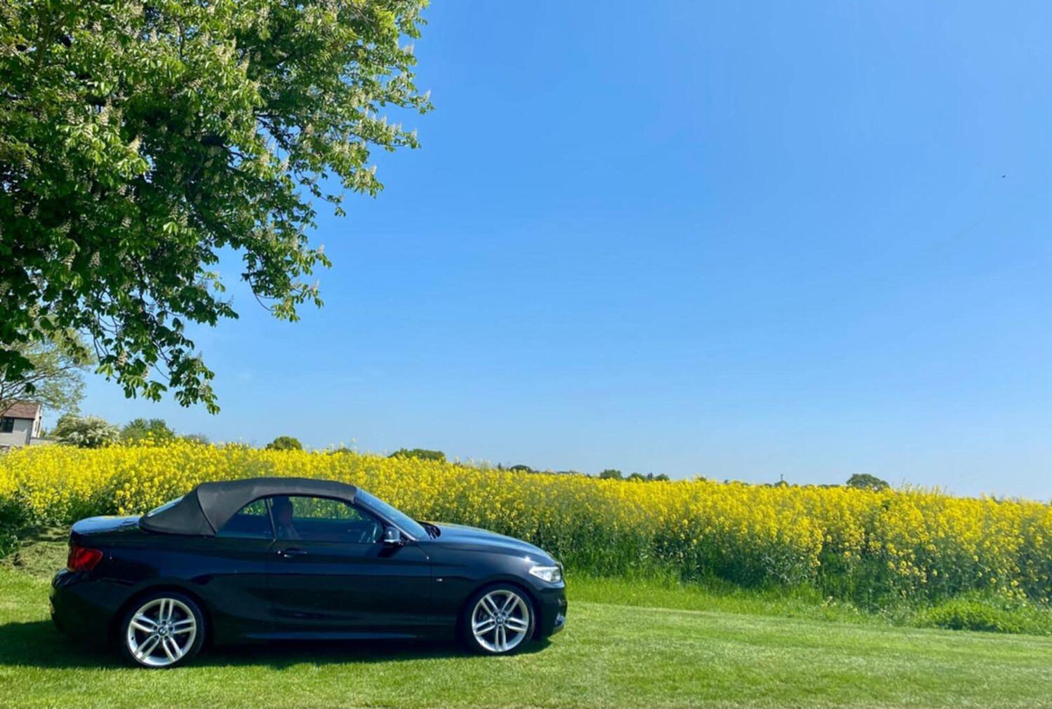 Used BMW 2 Series 2025 for sale - 77464970: Photo 28