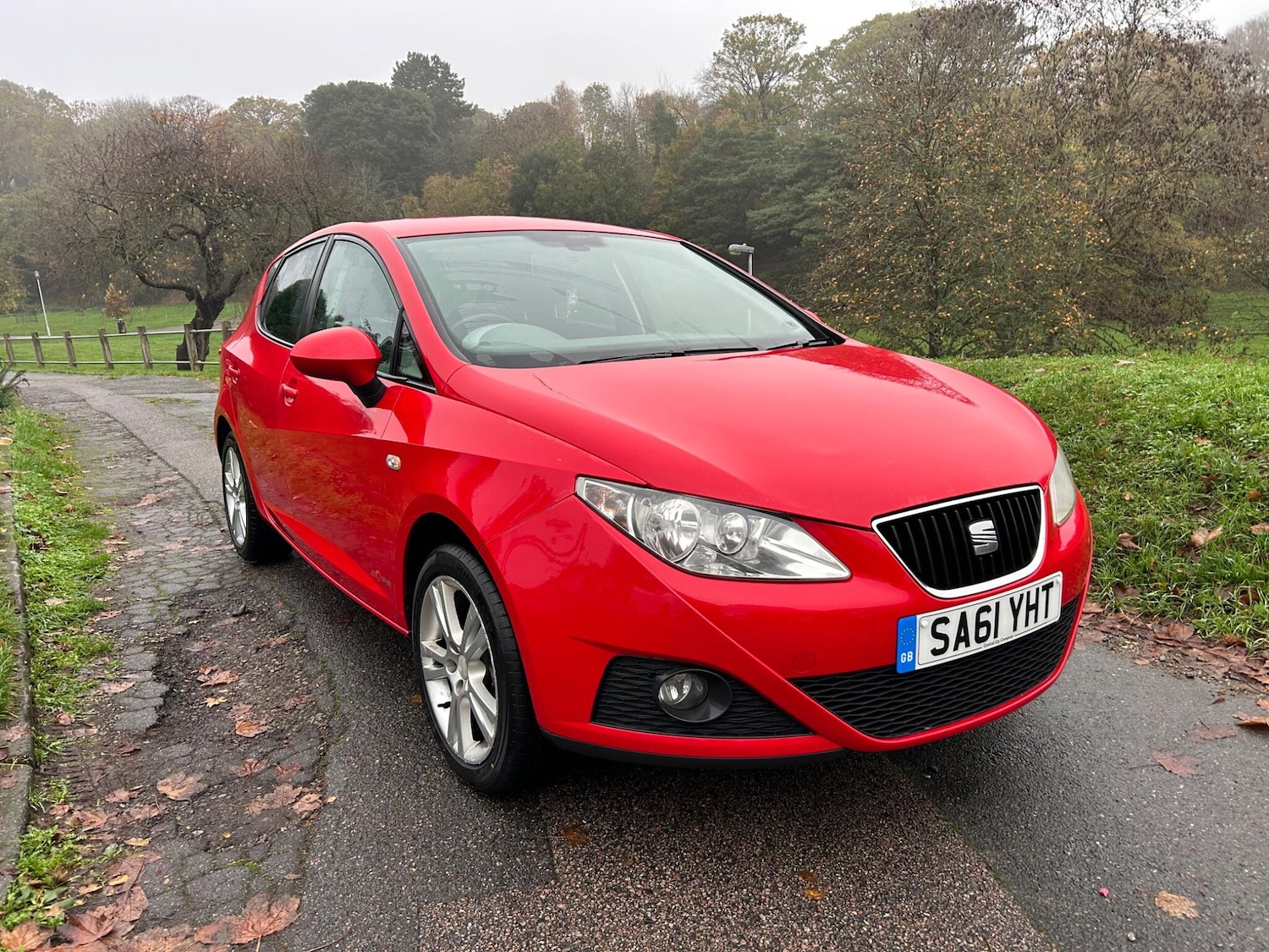 Used SEAT Ibiza 2011 for sale - 76716873: Photo 1