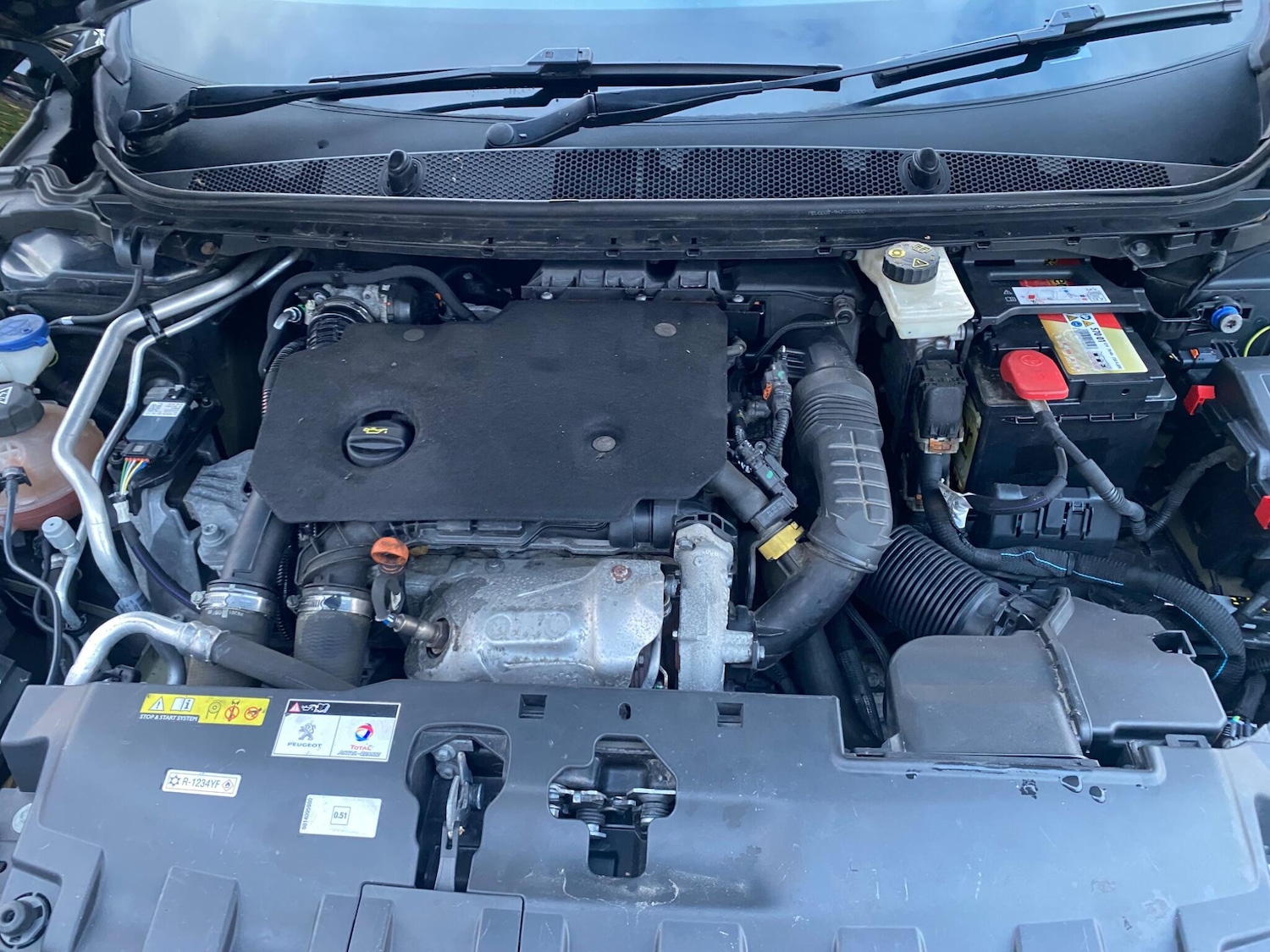 Used Peugeot 308 2020 for sale - 76716876: Photo 17