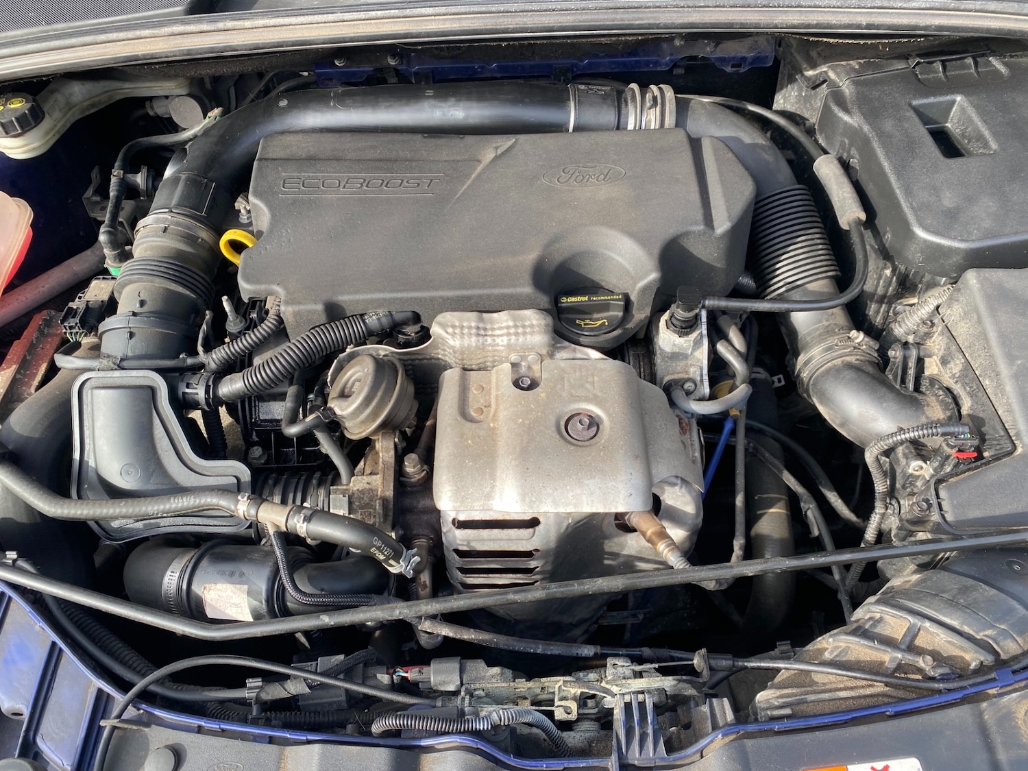 Used Ford Focus 2014 for sale - 77445993: Photo 31