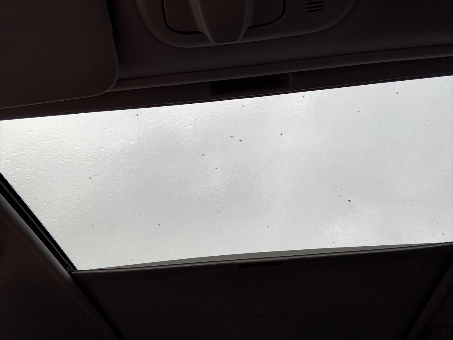 Used Citroen C3 Picasso 2016 for sale - 76330152: Photo 22