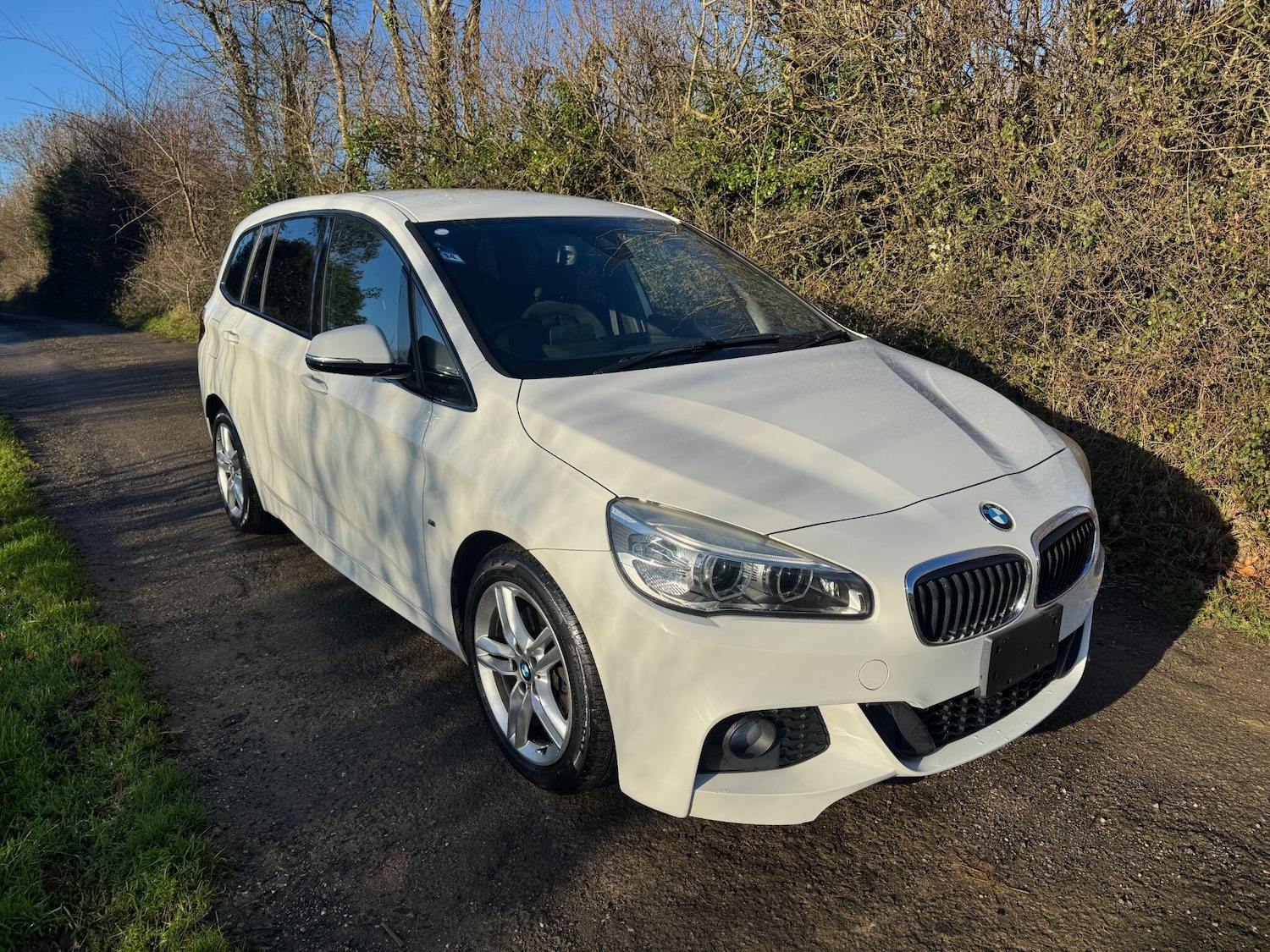 Used BMW 2 Series Gran Tourer for sale - 77237933: Photo 11