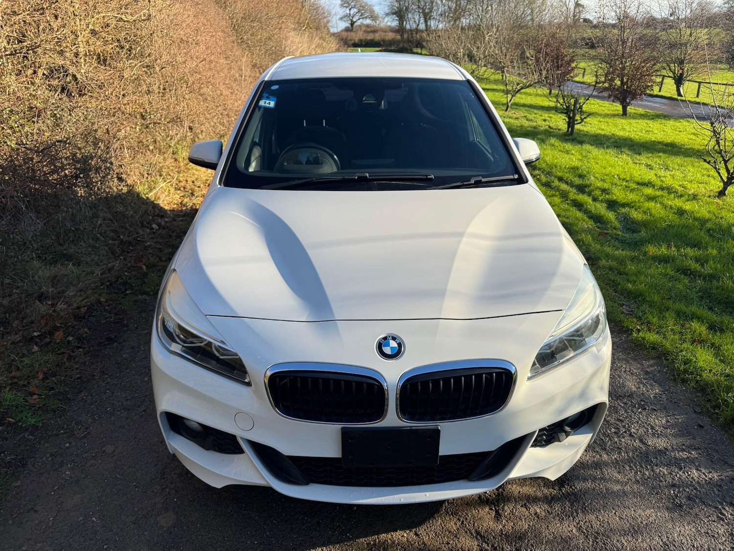 Used BMW 2 Series Gran Tourer for sale - 77237933: Photo 12